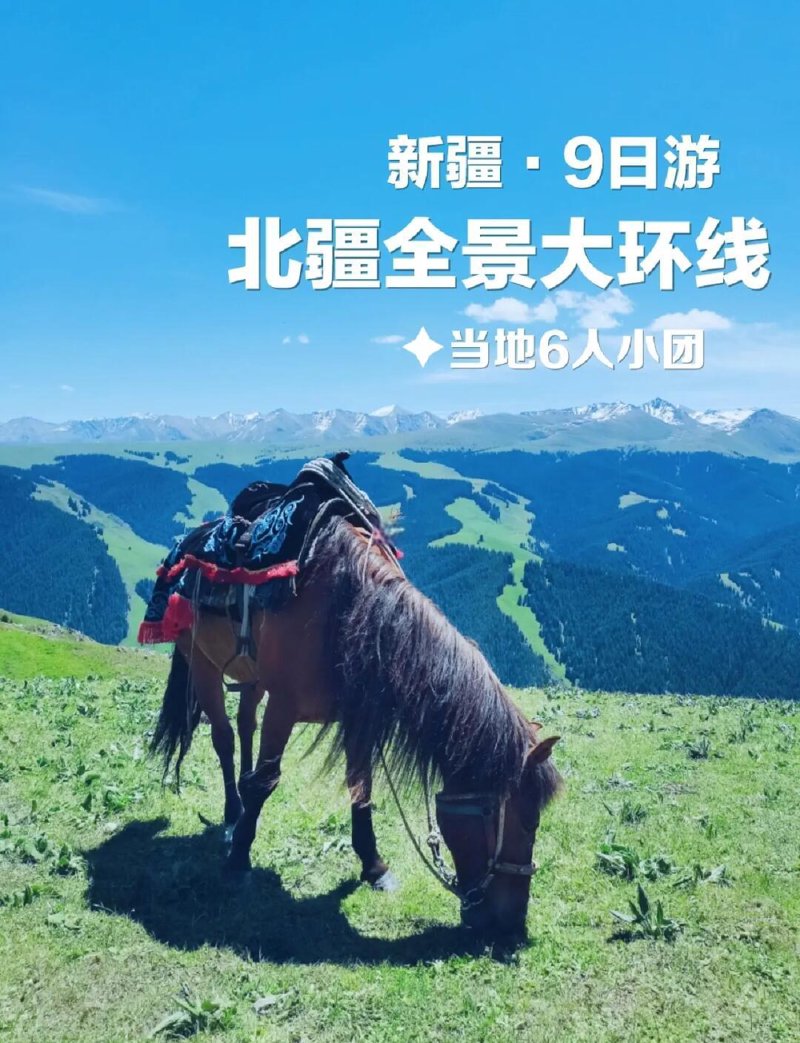 新疆之旅：解锁神秘的自然奇观与人文风情