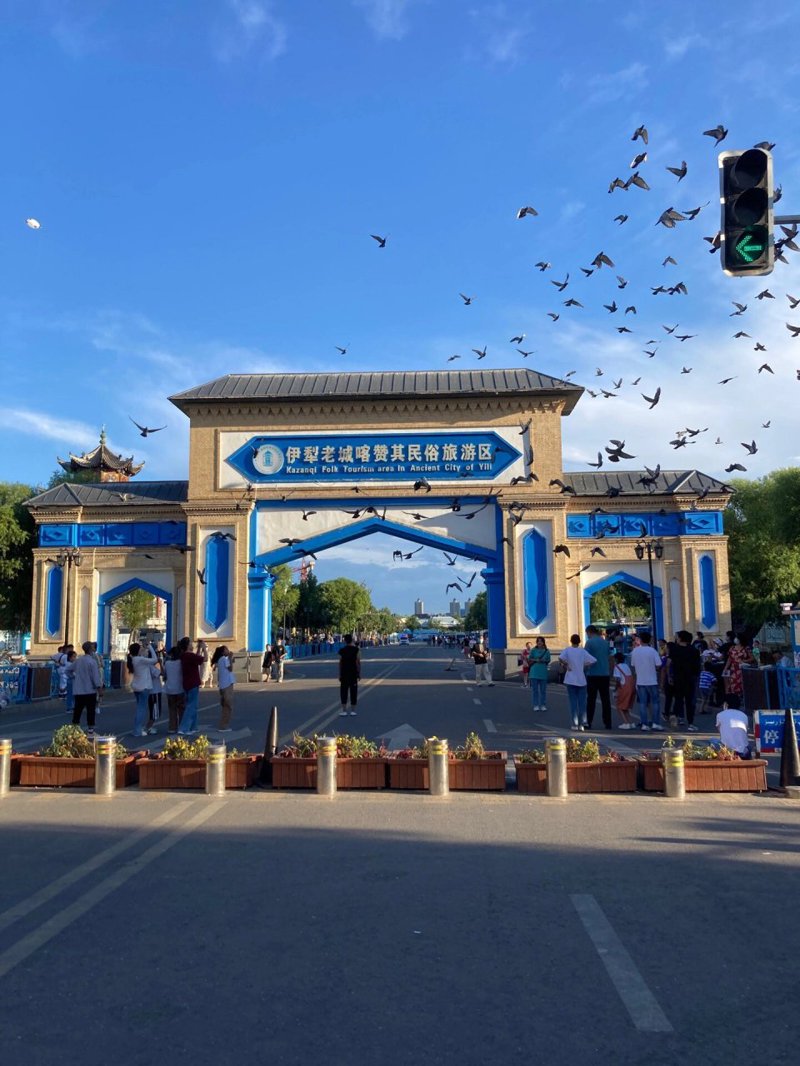 新疆旅游线路选购指南：探索神奇瑰丽的天山之恋