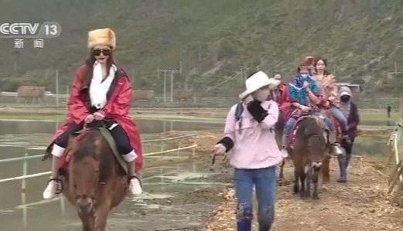 新疆旅游线路：解锁大美边疆的无限风光