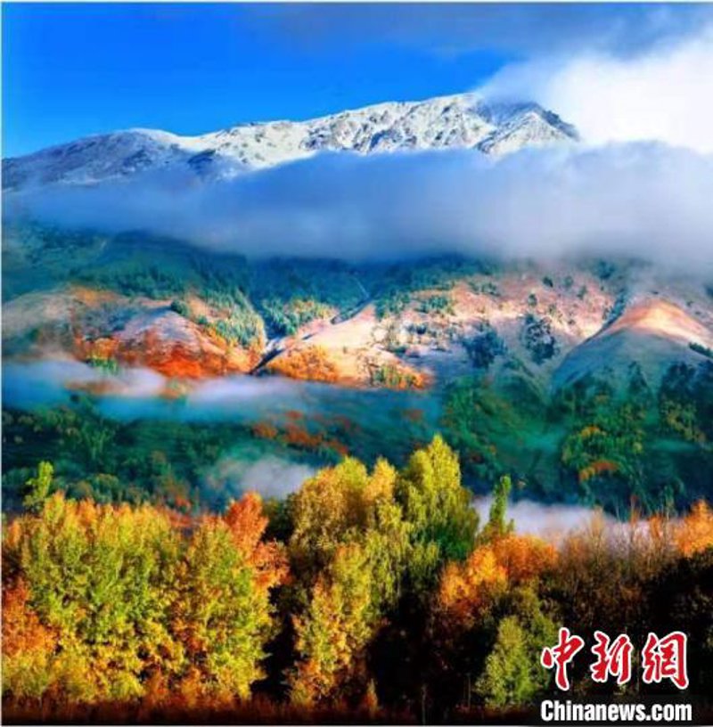 探寻南疆之美:一幅流动的风景画卷