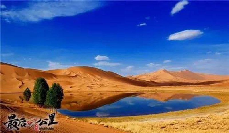 新疆旅游:探索魅力无穷的广袤天地